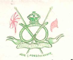 South Staffordshire Badgee