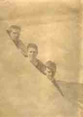 Sydney, Bertie and Basil.