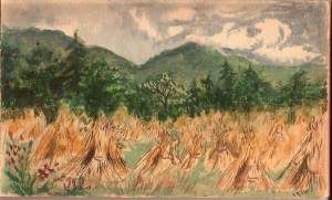 Abergele ornfileds AHH.