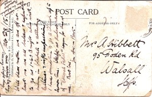 Bertie's best writing.