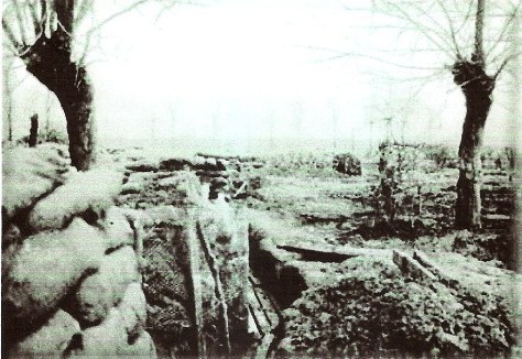 Trench 8 Wulverghem. May 1915.