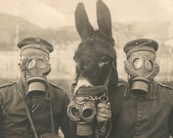 Two-German-soldiers-and-their-mule-wearing-gas-masks-in-WWI-1916