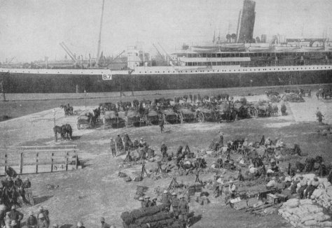 Alexandria 191513216868024_50e4965f43_b