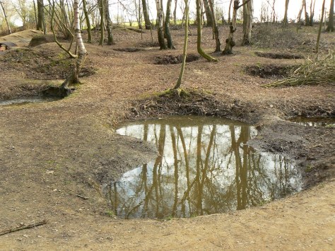 www.panaraio.com bomb craters at openair museum Zillebeke. hill 62.68330909