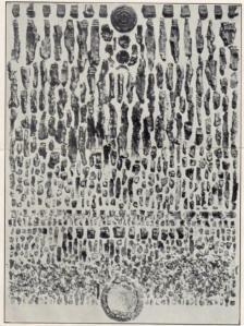 frg-of-18-pdr-mark-iii-shell-complete-detonationfragmentation-4-this-one-jpg-opt630x843o00s630x843